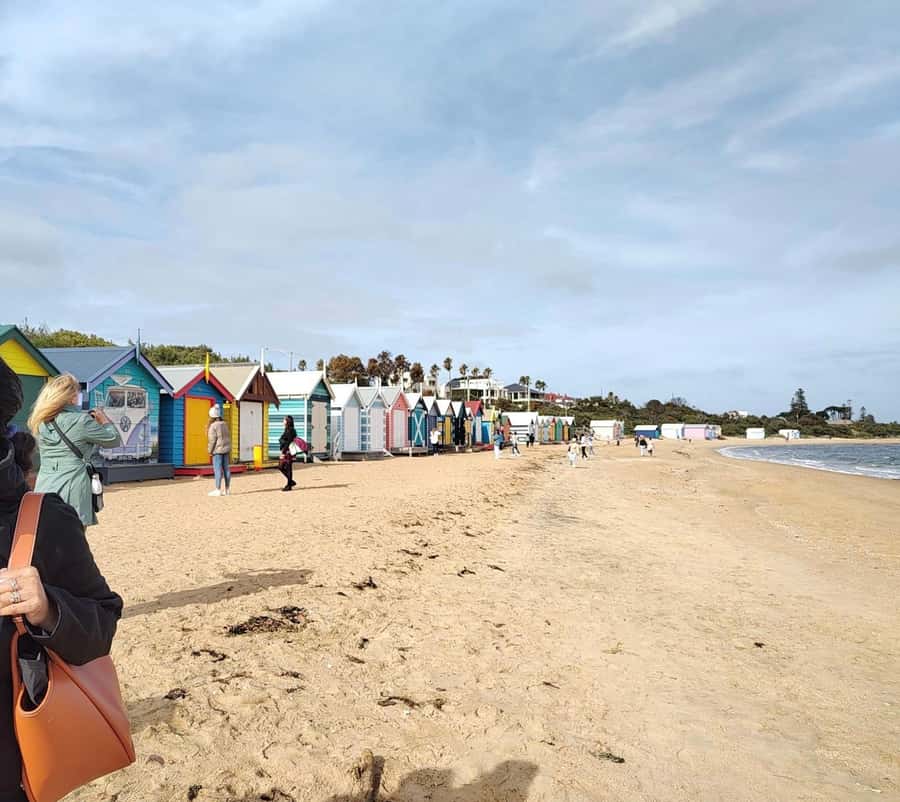 Melbourne 3-Hour Small Group Tour with Beach Boxes - Royal Exhibition Building and Docklands: a classic-to-modern contrast