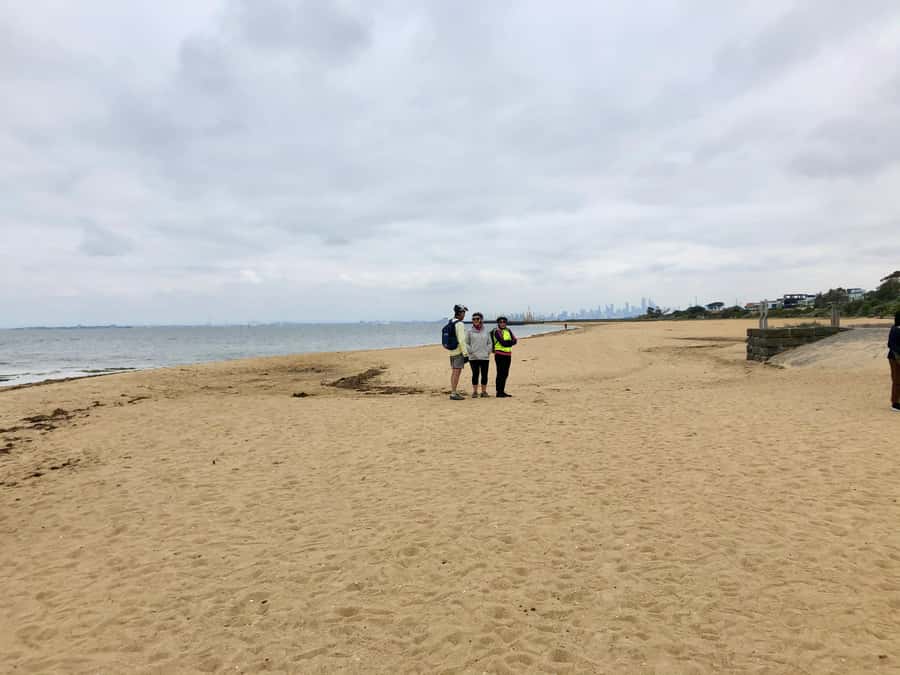 Melbourne: Bayside Bike Tour | Pedal into Local Seaside Life - Foreshore Cycling to Brighton and Morning Tea at the Yacht Club