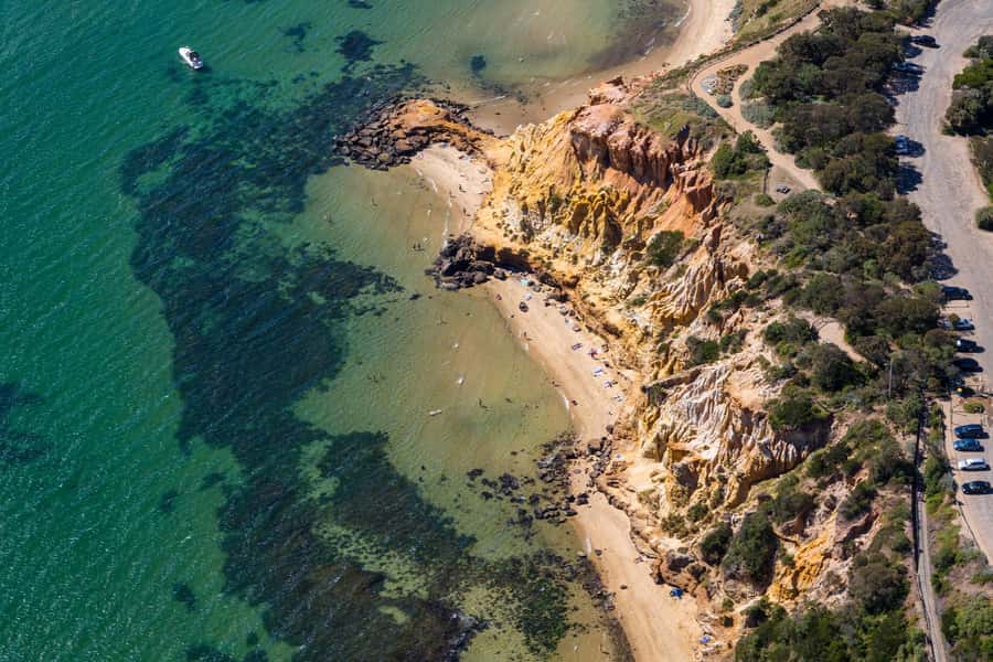Melbourne: Brighton Beach & Ricketts Point Helicopter Flight - Key highlights you’ll remember