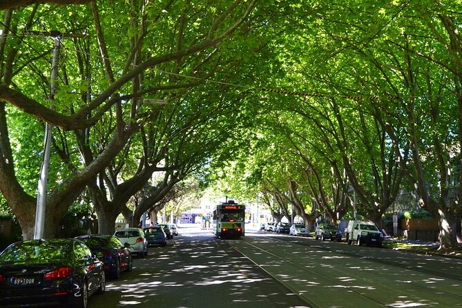 Melbourne Drive by Day - Private Tour - Dendy Street Beach: the bathing huts stop that’s worth slowing down
