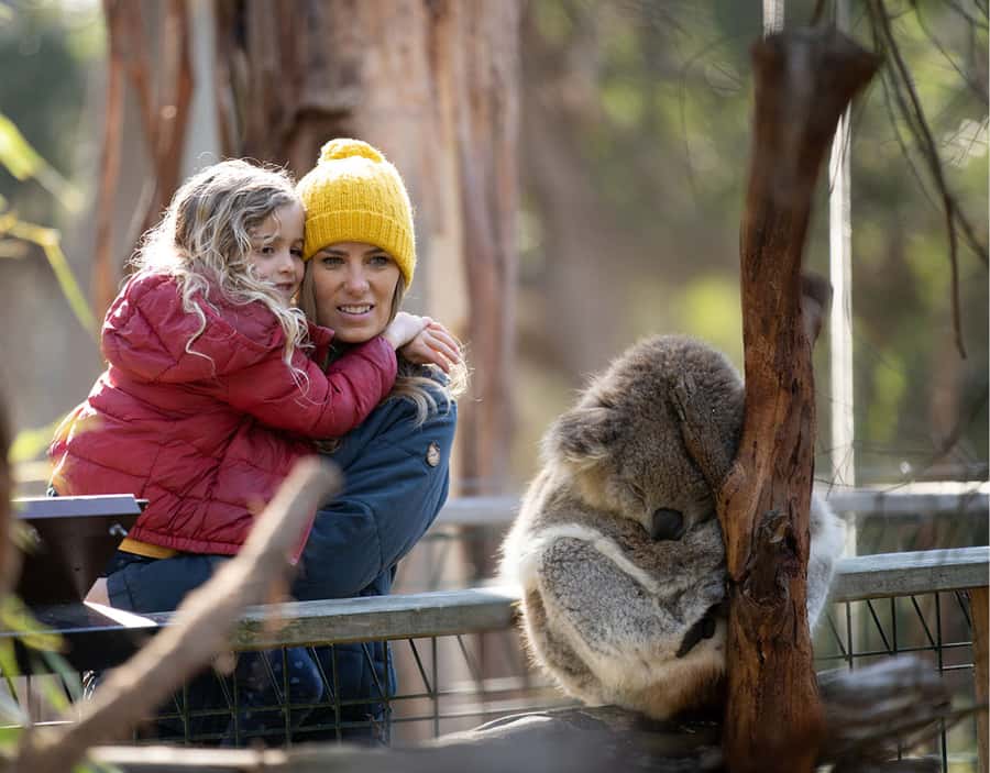 Melbourne: Flexi Pass - Pick 3, 5 or 7 Experiences - Wildlife days: open-range zoos, sanctuaries, and aquarium energy