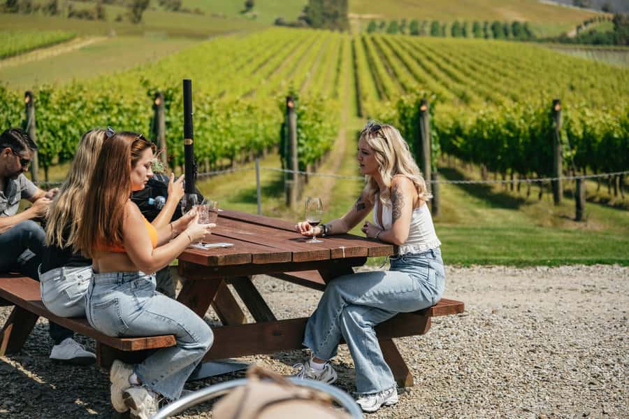 Melbourne: Full-Day Yarra Valley Wine Experience with Lunch - Greenstone Vineyards: the swirl-sniff-slurp you’ll actually use