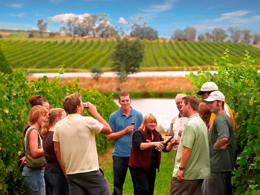 Melbourne: Full-Day Yarra Valley Wine Experience with Lunch - Morning pickup at Immigration Museum: arrive ready to roll