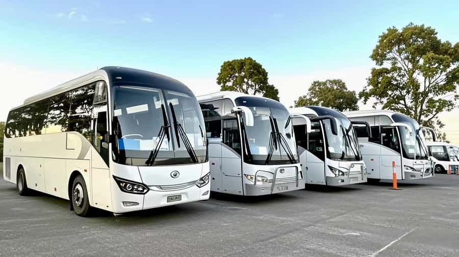 Melbourne Great Ocean Road Benz SmallGroup&LuxCoach BigGroup - Twelve Apostles and Loch Ard Gorge: the photo stops that matter most