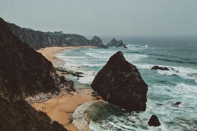 Melbourne: Great Ocean Road & Iconic Coastal Views Day Tour - The guide experience: why names keep showing up