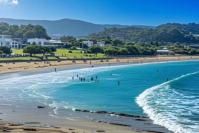 Melbourne: Great Ocean Road Luxury Coach Reverse Tour - Apollo Bay for Lunch: A Real Break From Constant Sightseeing