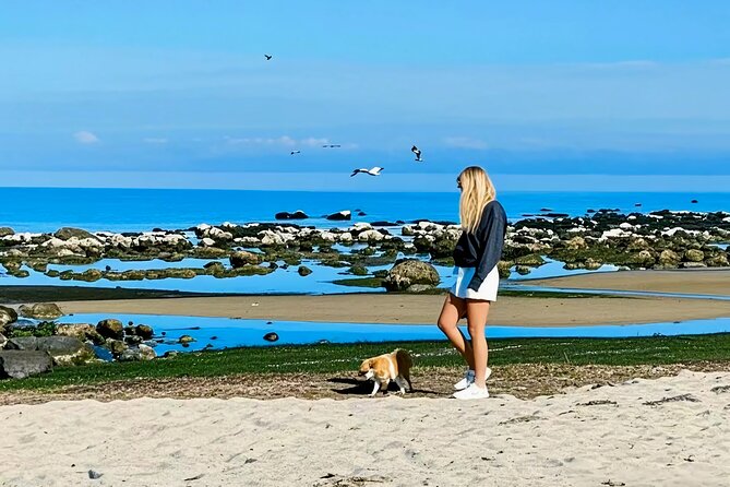 Melbourne: Great Ocean Road Luxury Coach Reverse Tour - Who This Tour Is Best For (and Who Should Skip It)