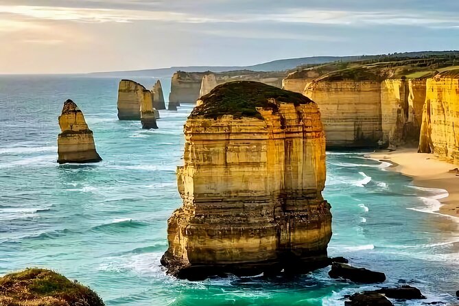 Melbourne Great Ocean Road Reverse Tour + London Bridge wildlife - Key highlights worth your attention