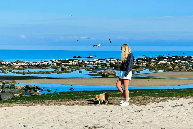Melbourne Great Ocean Road Reverse Tour + London Bridge wildlife - Loch Ard Gorge: dramatic cliffs and a shipwreck story stop