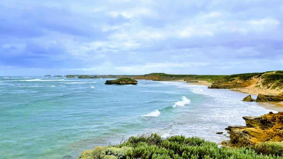 Melbourne: Great Ocean Road to 12 Apostles via the Coastline - Koala chances near Barham Reserve: how to make it count