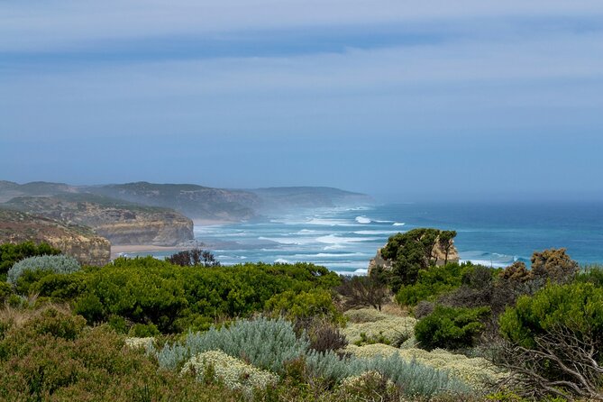 Melbourne: Great Ocean Road Tour with Maxi Highlights in One Day - Barham Paradise S.R. and wild koalas: a nature stop with uncertainty