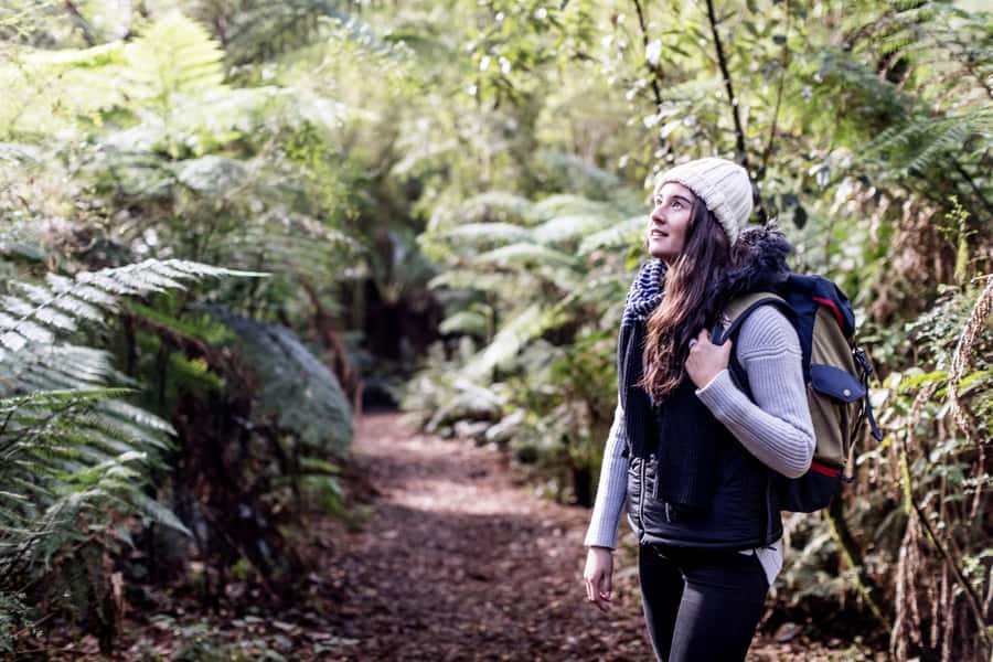 Melbourne: Great Ocean Road Ultimate 12 Apostles with Lunch - Great Otway National Park: where the day cools down