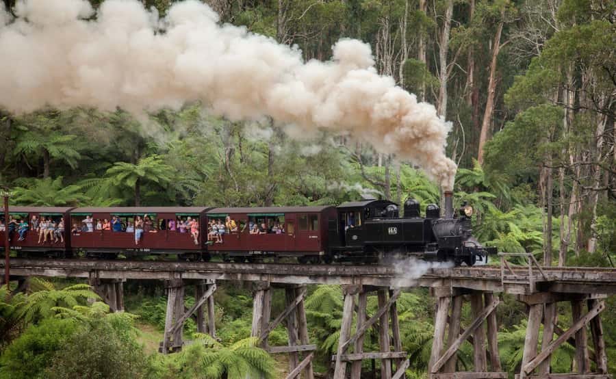 Melbourne: Half-Day Puffing Billy Steam Train Experience - Comfort on the coach: what to expect (and what to pack)
