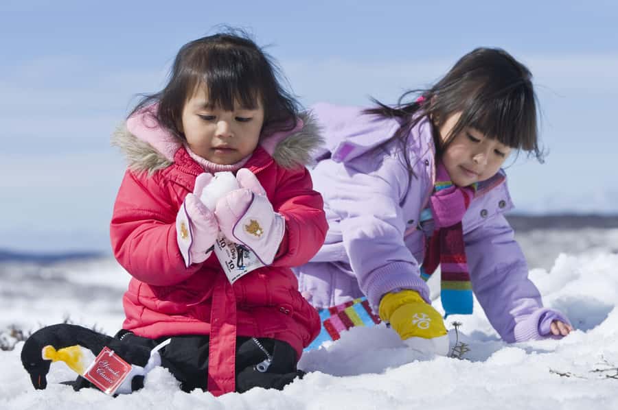 Melbourne: Lake Mountain Snow Guided Tour - Practical Tips for a Smooth Lake Mountain Snow Day