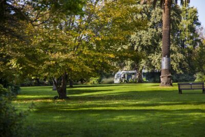Melbourne: Melbourne Gardens Explorer Minibus Tour - Meeting point and what to do before the bus leaves