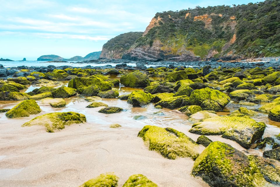 Melbourne: Mornington Peninsula & Hot Springs Tour 8 pax max - Mornington Peninsula café stop: snacks now, lunch later