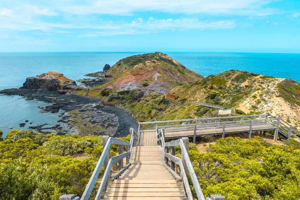 Melbourne: Mornington Peninsula & Hot Springs Tour 8 pax max - Price and value: why $184 makes sense for what’s included