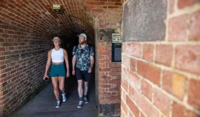 Melbourne: Mornington Peninsula Southern Coast Discovery - Cape Schanck and the clifftop rhythm of the southern coast