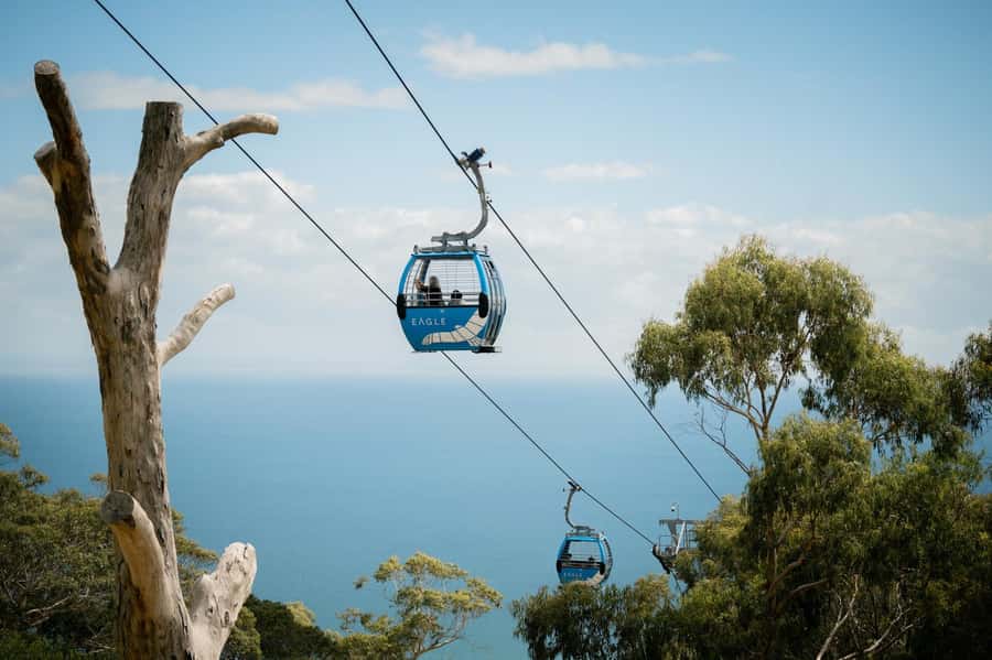 Melbourne: Mornington Peninsula Southern Coast Discovery - What the small-group size changes (and why it matters)