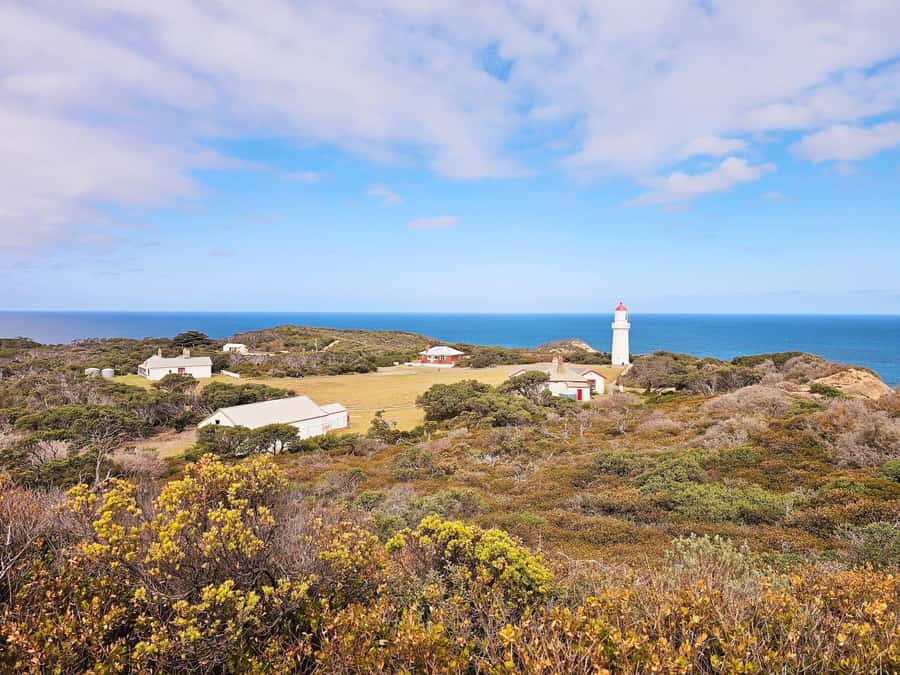 Melbourne: Mornington Peninsula Southern Coast Discovery - Comfort, timing, and what’s included for $88