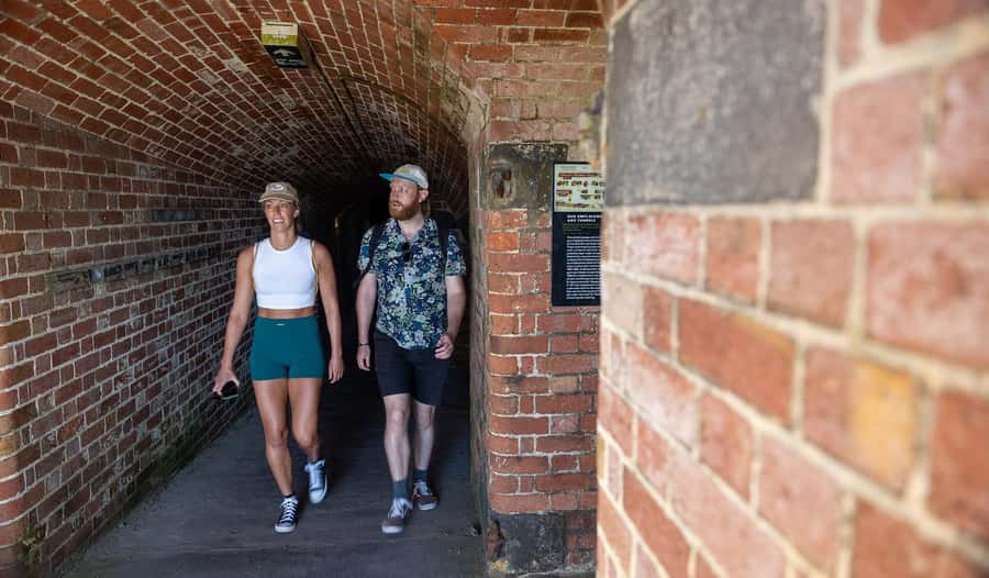 Melbourne: Mornington Peninsula Southern Coast Discovery - Cape Schanck and the clifftop rhythm of the southern coast