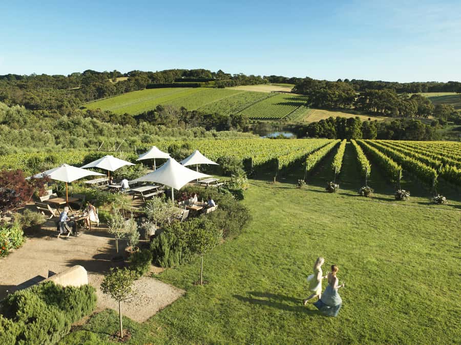 Melbourne: Mornington Peninsula Wine Day Tour - Key highlights you’ll actually care about
