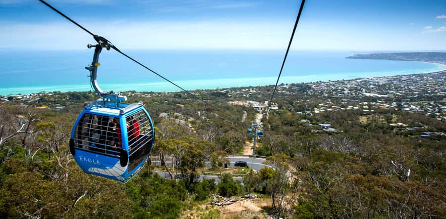 Melbourne: Peninsula Nature Private Day Trip with Dinner - Should you book this Peninsula nature private day trip?