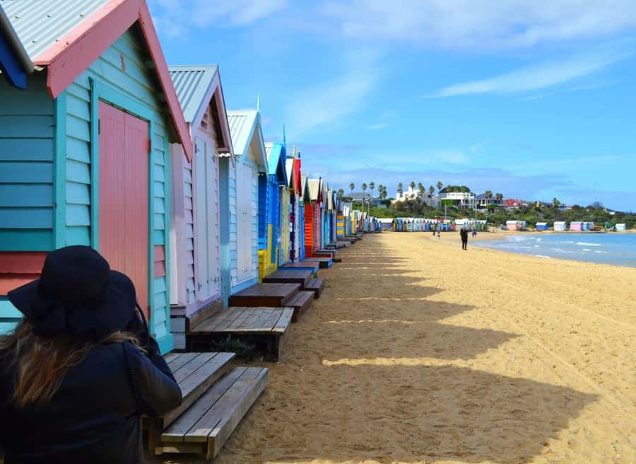 Melbourne: Peninsula Nature Private Day Trip with Dinner - Private hosting, guide style, and what it means for your day