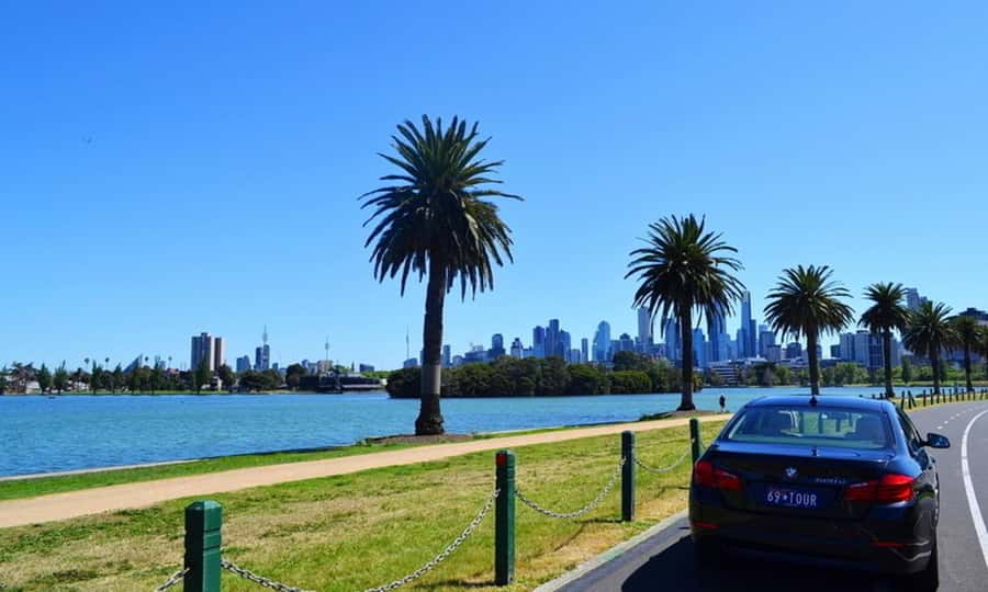 Melbourne: Peninsula Sightseeing Driving Day Tour - Key Points You’ll Actually Care About