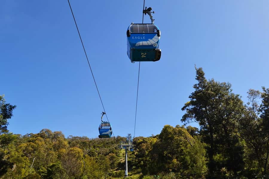 Melbourne: Peninsula Sightseeing Driving Day Tour - Practical Tips to Make the Most of It
