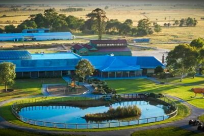Melbourne Phillip Island 1 Day Tour - Price and what you truly get for $91.81 per person