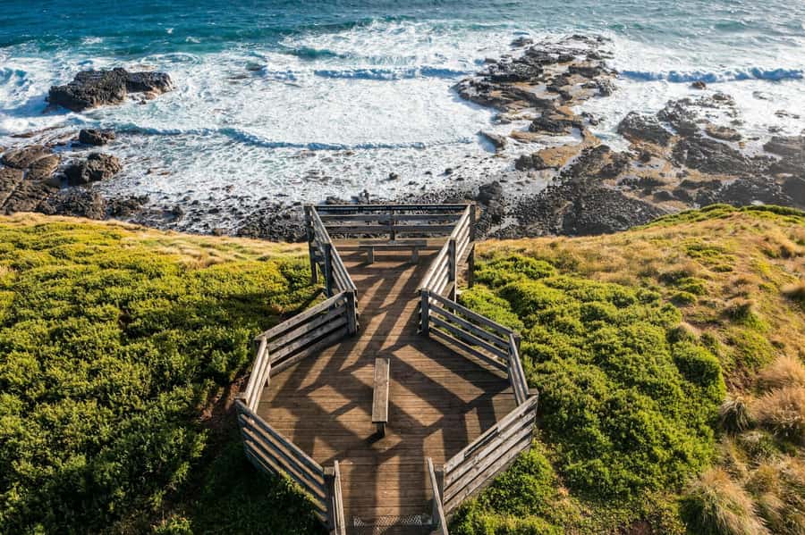Melbourne: Phillip Island Penguin Parade Watching Day Tour - Key takeaways before you go