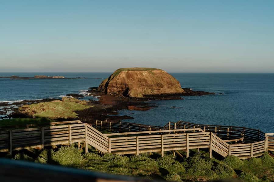 Melbourne: Phillip Island Penguin Parade Watching Day Tour - Maru Koala and Animal Park: optional close encounters at your own expense