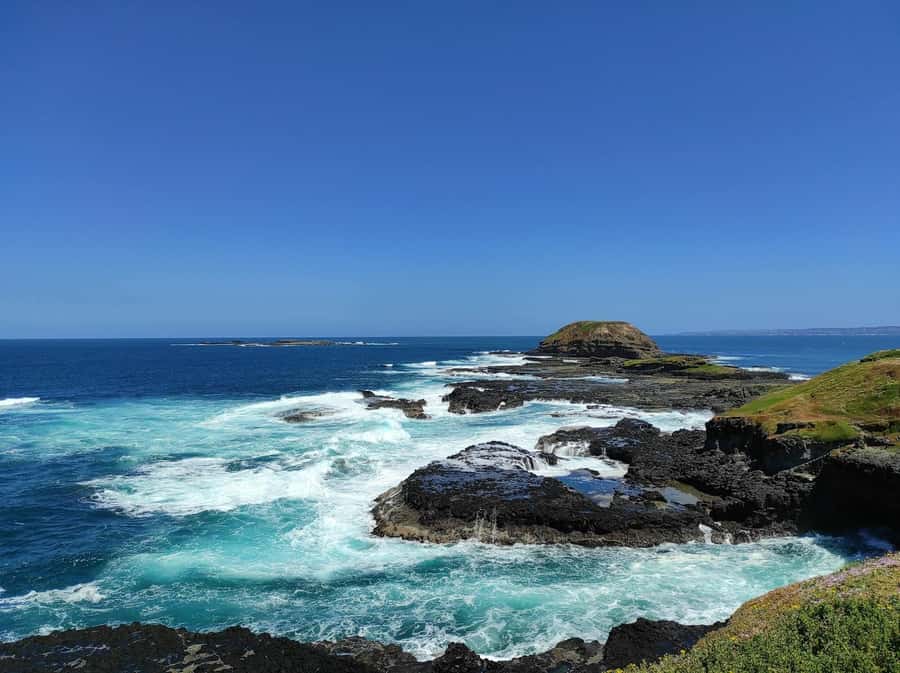 Melbourne: Phillip Island Penguin Parade Watching Day Tour - Cowes free time: a buffer before penguins, plus dinner options