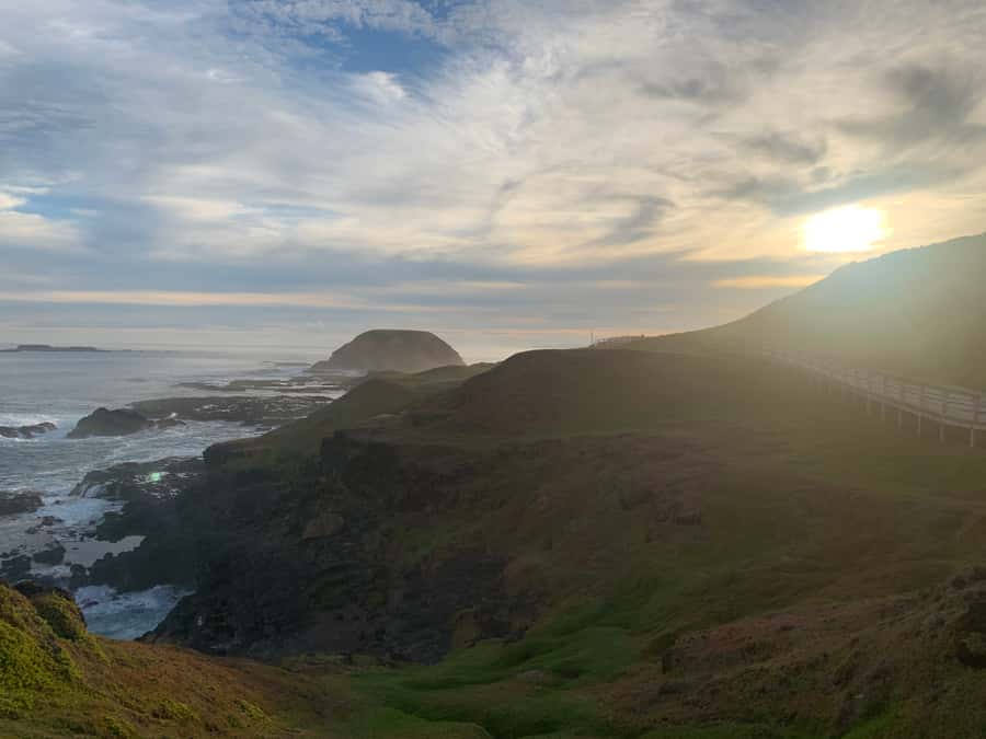 Melbourne: Phillip Island Tour & Penguin Parade - Woolamai Surf Beach: why this stretch matters to surfers
