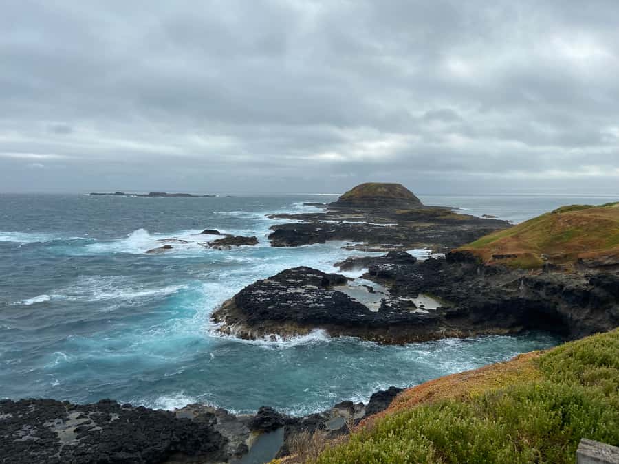 Melbourne: Phillip Island Tour & Penguin Parade - FAQ