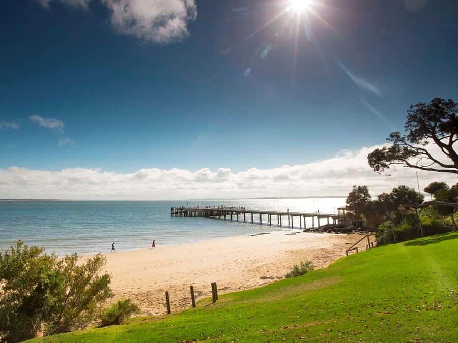 Melbourne: Phillip Island Tour w/ Hop-on Bus or Seal Cruise - Comfort and logistics: small group, premium transport, and real pacing