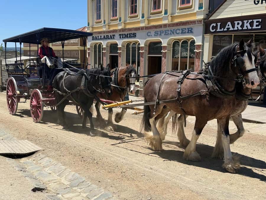 Melbourne: Private Ballarat & Sovereign Hill Gold Mine Tours - Lake Wendouree and Ballarat Botanical Gardens: a calmer pace in the middle