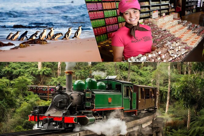 Melbourne Puffing Billy Penguin wine choc(16 max) Hotel Pick Up - Key things to know before you go