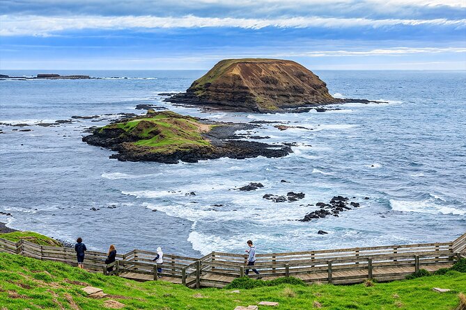 Melbourne Puffing Billy Penguin wine choc(16 max) Hotel Pick Up - Phillip Island Penguin Parade: plan for cold, rules, and crowded sight lines