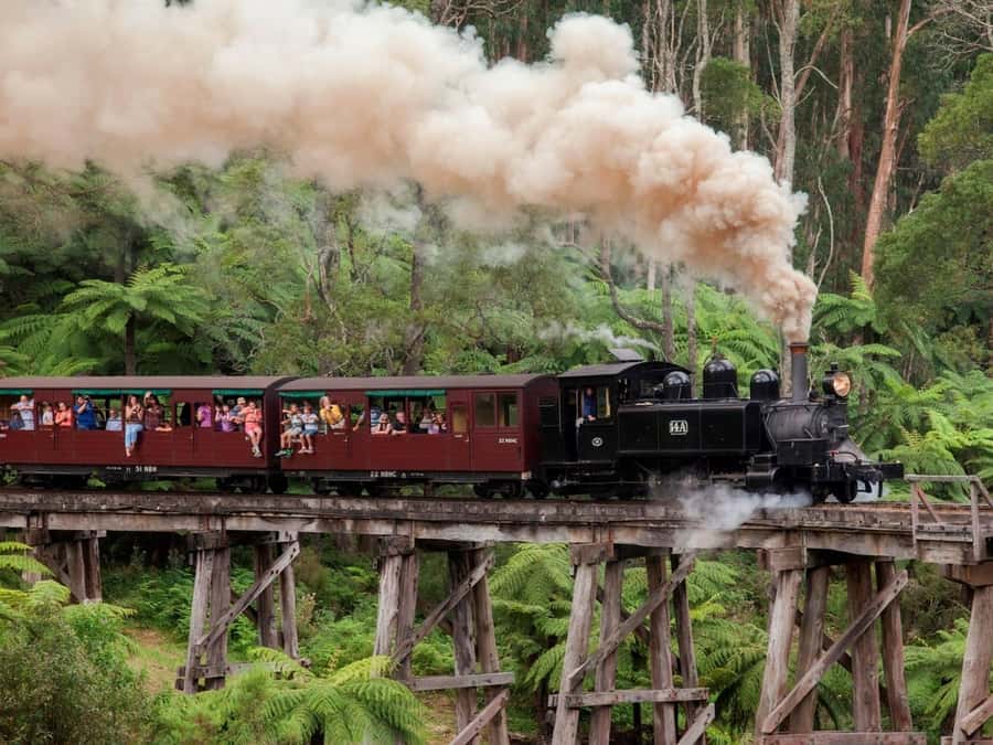 Melbourne: Puffing Billy Steam Train and Philip Island - Nobbies Coastal Walks and Seal Spotting on Phillip Island
