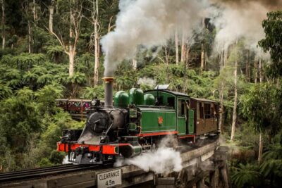 Melbourne: Puffing Billy Steam Train and Philip Island - Puffing Billy Steam Train Through the Dandenong Ranges