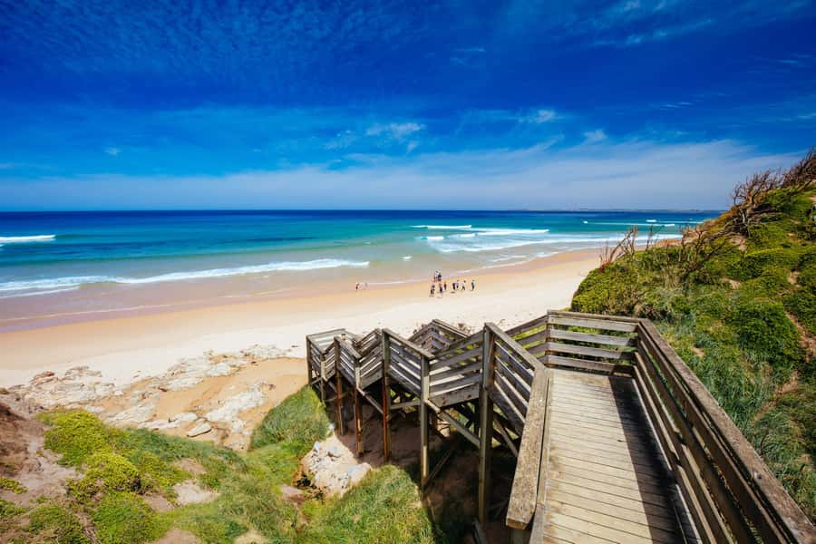 Melbourne: Puffing Billy Steam Train & Penguin Parade Tour - Optional Maru Koala and Animal Park: worth it or skip it?