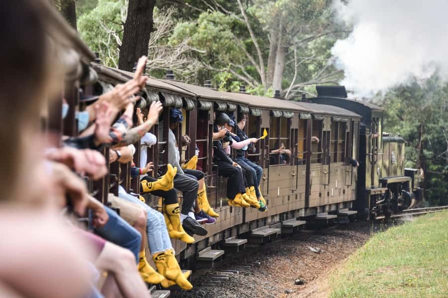 Melbourne: Puffing Billy Steam Train & Penguin Parade Tour - Who should book this tour (and who should skip it)