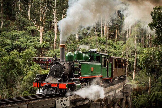 Melbourne Puffing Billy Train and Penguin Parade Day Tour Escape - Key highlights worth centering your day around