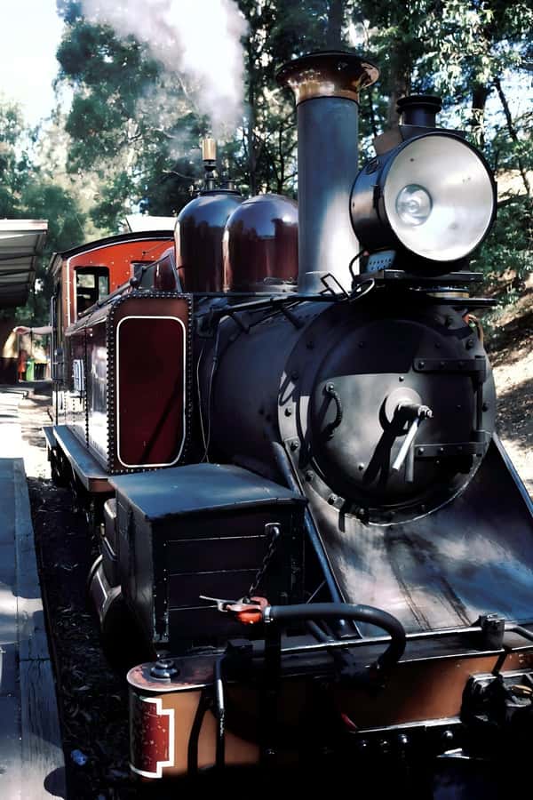 Melbourne: Puffing Billy Train & Healesville & Winery Tour - Key highlights worth getting excited about