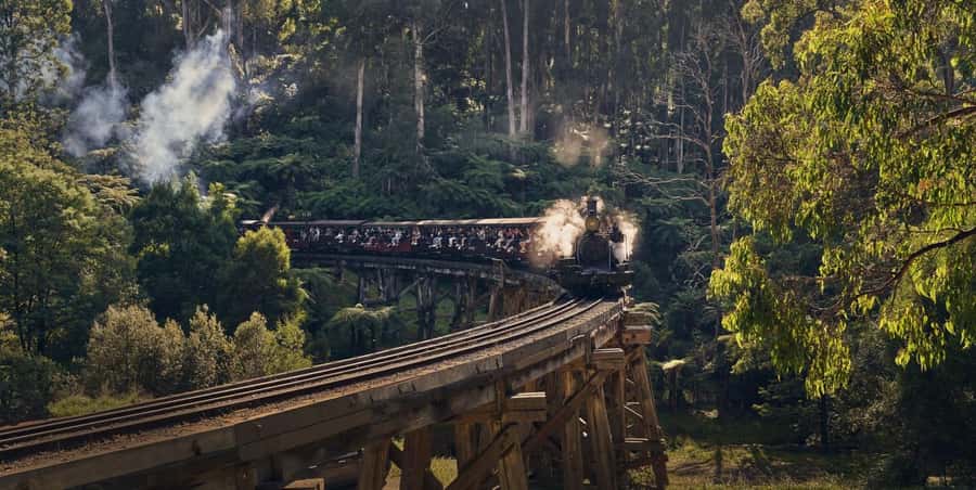Melbourne: Puffing Billy Train & Healesville & Winery Tour - Why this Melbourne day trip works: Bathing Boxes, Healesville, wine, and Puffing Billy