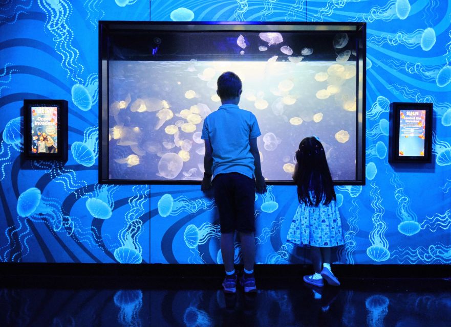 Melbourne: SEA LIFE Aquarium Entrance Ticket - Price and value: is $28 a good deal?