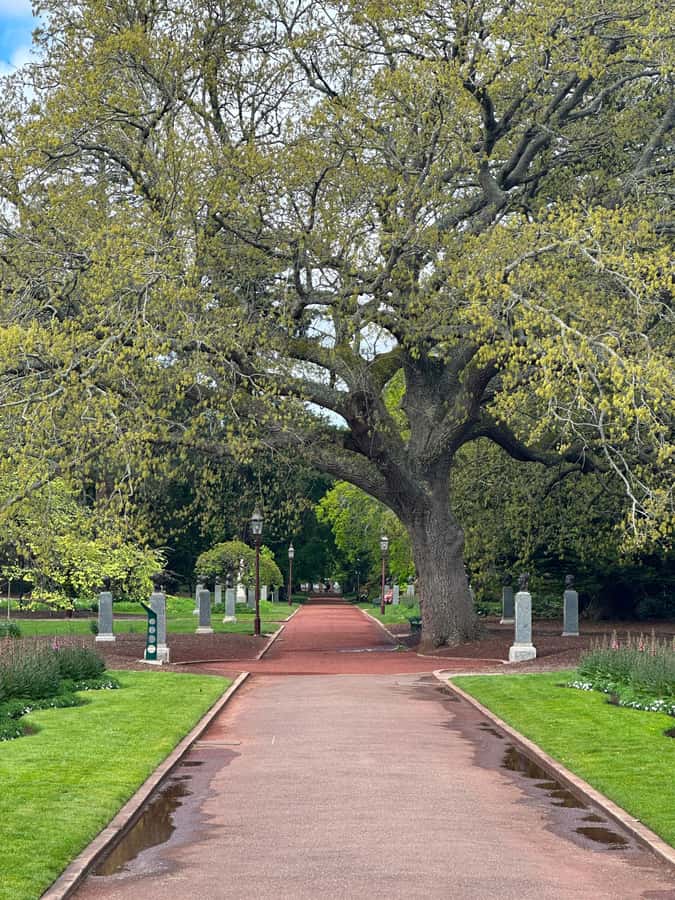 Melbourne: Sovereign Hill, Eureka Centre & Melbourne Skydeck - Should You Book This Tour?