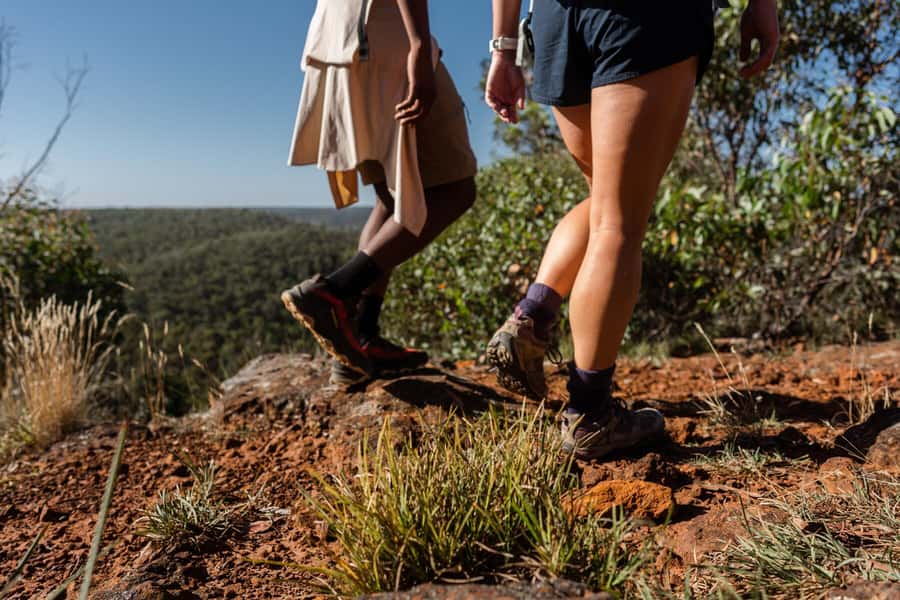 Melbourne to Adelaide: 2-Day Overland Explorer Tour - Day 2 in Halls Gap: sunrise wildlife and lookout rhythm